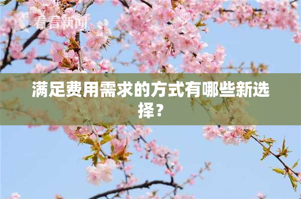 满足费用需求的方式有哪些新选择？
