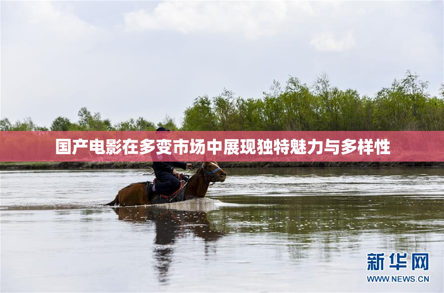 国产电影在多变市场中展现独特魅力与多样性
