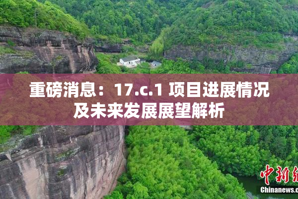 重磅消息：17.c.1 项目进展情况及未来发展展望解析