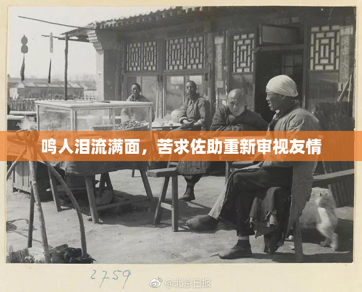 鸣人泪流满面，苦求佐助重新审视友情