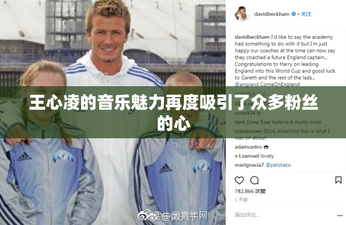 王心凌的音乐魅力再度吸引了众多粉丝的心