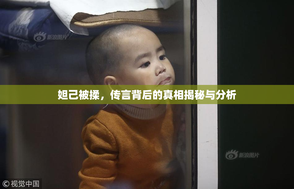 妲己被揉，传言背后的真相揭秘与分析