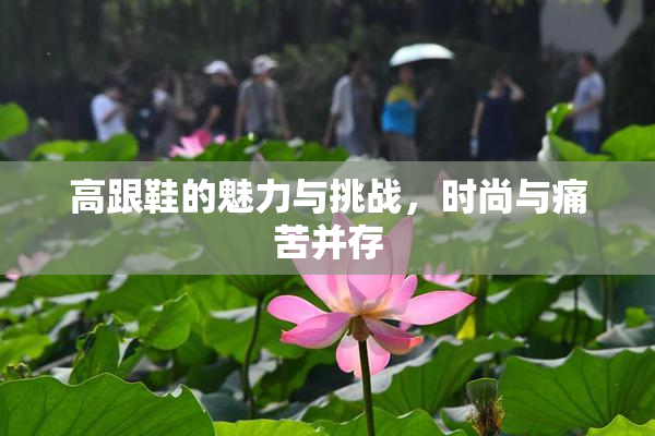 高跟鞋的魅力与挑战，时尚与痛苦并存