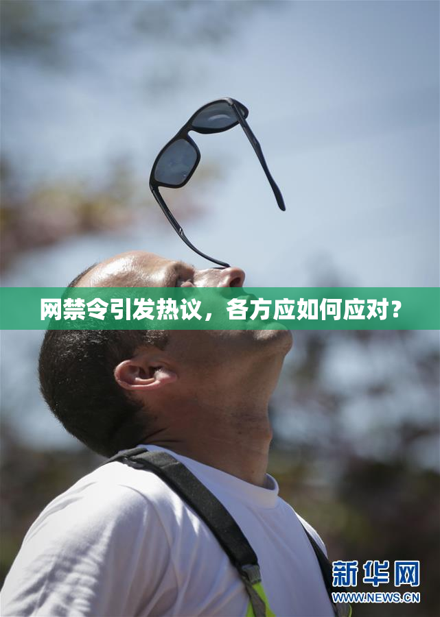 网禁令引发热议，各方应如何应对？