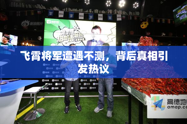 飞霄将军遭遇不测，背后真相引发热议