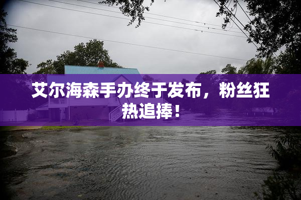 艾尔海森手办终于发布，粉丝狂热追捧！