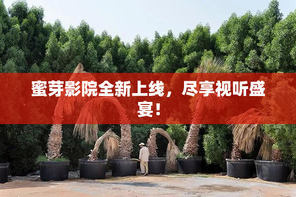 蜜芽影院全新上线，尽享视听盛宴！