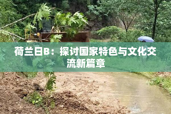 荷兰日B：探讨国家特色与文化交流新篇章