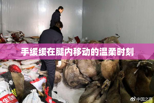 手缓缓在腿内移动的温柔时刻