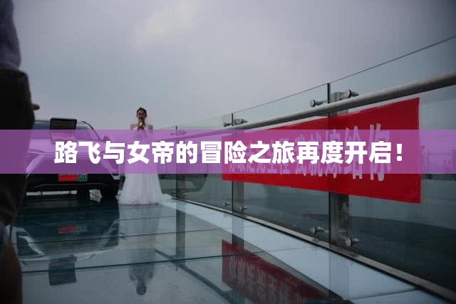 路飞与女帝的冒险之旅再度开启！