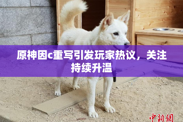 原神因c重写引发玩家热议，关注持续升温