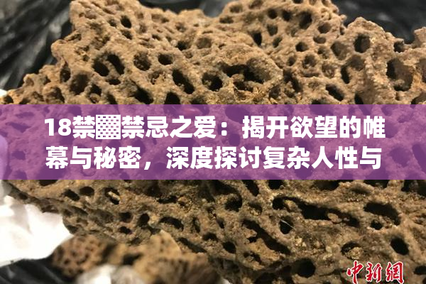 18禁▓禁忌之爱：揭开欲望的帷幕与秘密，深度探讨复杂人性与情感纠葛。