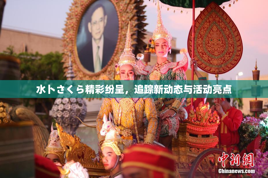 水卜さくら精彩纷呈，追踪新动态与活动亮点