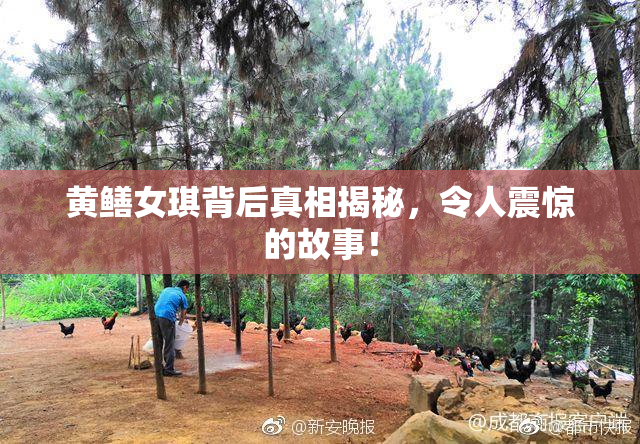 黄鳝女琪背后真相揭秘，令人震惊的故事！