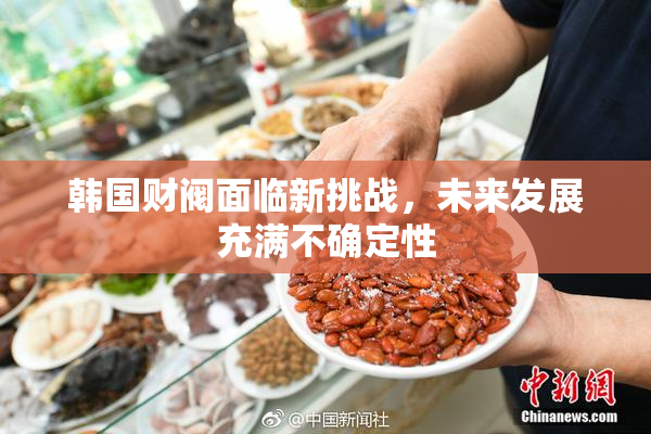 韩国财阀面临新挑战，未来发展充满不确定性