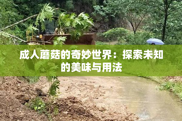 成人蘑菇的奇妙世界：探索未知的美味与用法