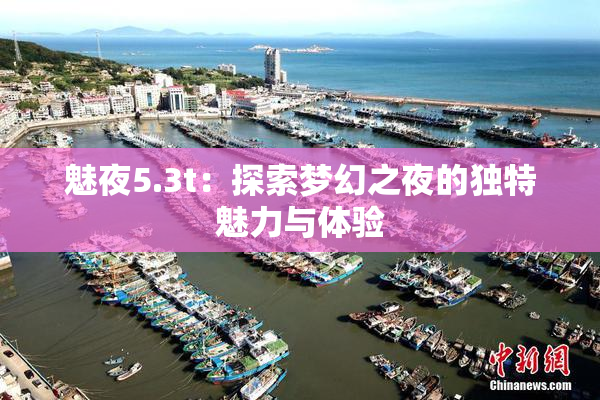 魅夜5.3t：探索梦幻之夜的独特魅力与体验