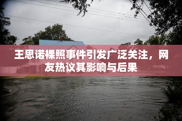 王思诺裸照事件引发广泛关注，网友热议其影响与后果