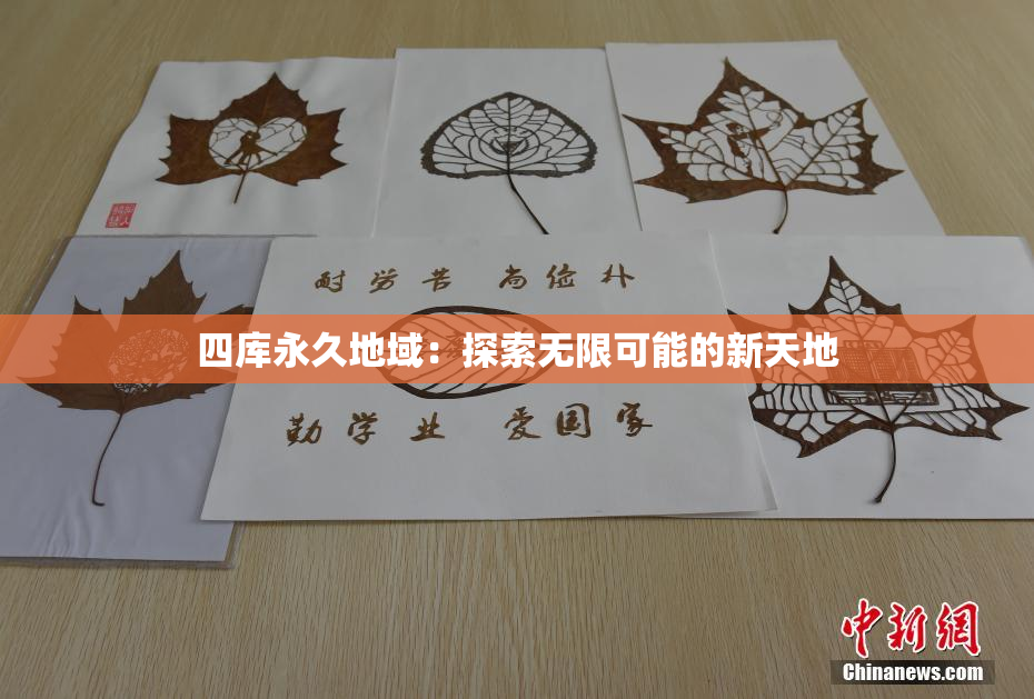 四库永久地域：探索无限可能的新天地