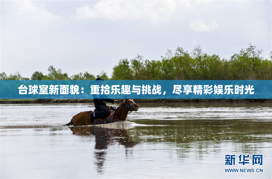 台球室新面貌：重拾乐趣与挑战，尽享精彩娱乐时光