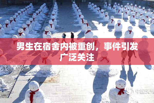 男生在宿舍内被重创，事件引发广泛关注