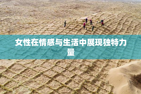 女性在情感与生活中展现独特力量