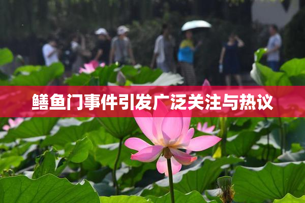 鳝鱼门事件引发广泛关注与热议