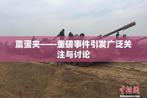 震蛋夹――重磅事件引发广泛关注与讨论