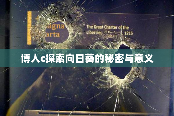 博人c探索向日葵的秘密与意义
