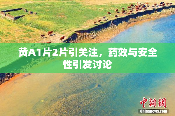 黄A1片2片引关注，药效与安全性引发讨论