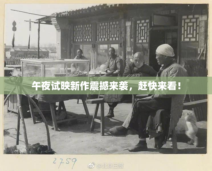 午夜试映新作震撼来袭，赶快来看！