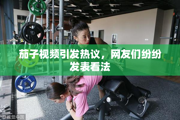 茄子视频引发热议，网友们纷纷发表看法