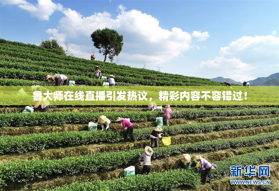 鲁大师在线直播引发热议，精彩内容不容错过！