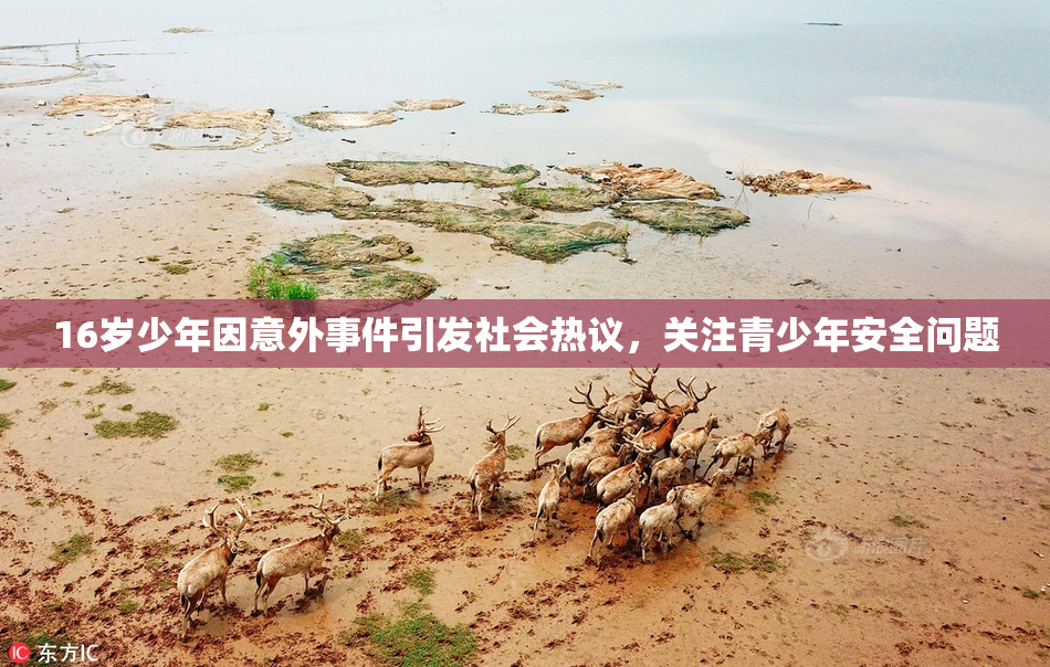 16岁少年因意外事件引发社会热议，关注青少年安全问题