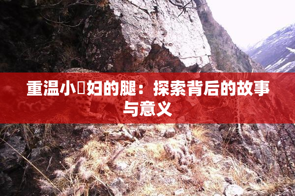 重温小婬妇的腿：探索背后的故事与意义
