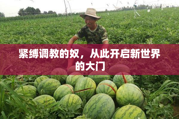 紧缚调教的奴，从此开启新世界的大门