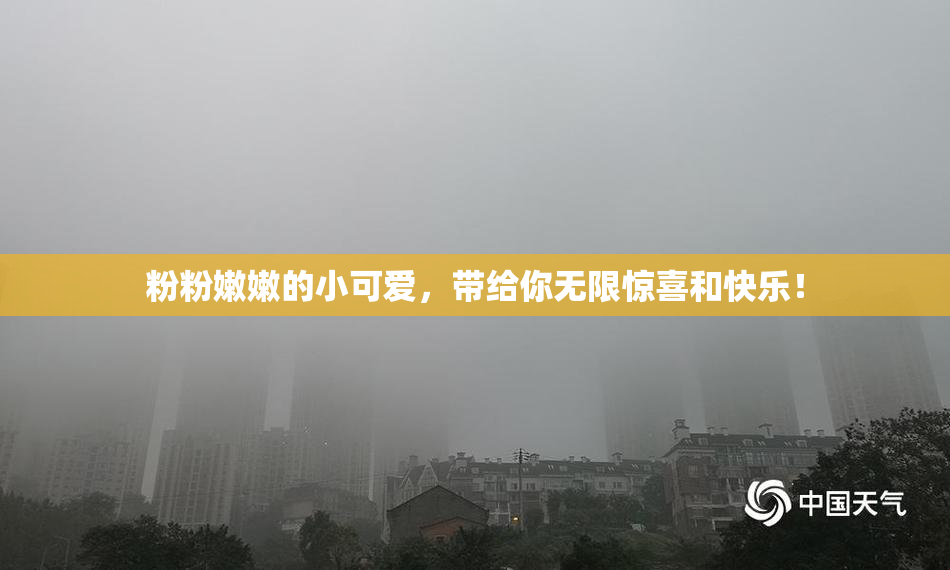 粉粉嫩嫩的小可爱，带给你无限惊喜和快乐！