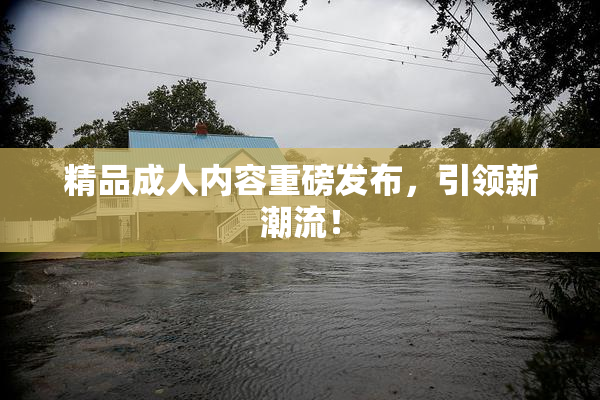 精品成人内容重磅发布，引领新潮流！