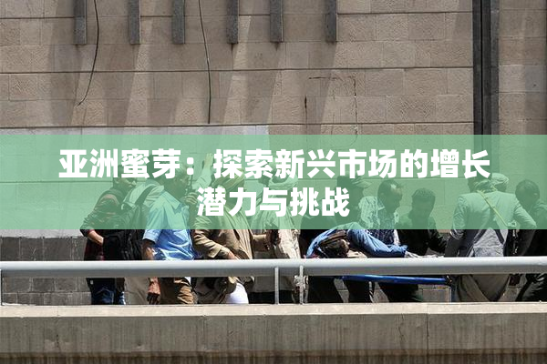 亚洲蜜芽：探索新兴市场的增长潜力与挑战