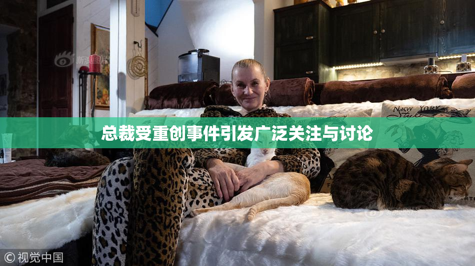 总裁受重创事件引发广泛关注与讨论