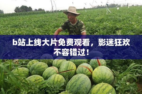 b站上线大片免费观看，影迷狂欢不容错过！