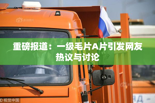 重磅报道：一级毛片A片引发网友热议与讨论