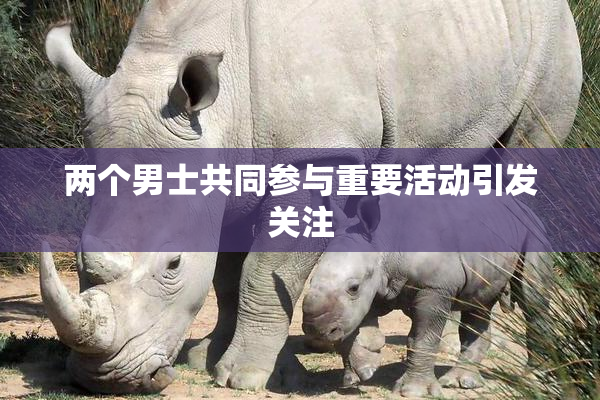 两个男士共同参与重要活动引发关注