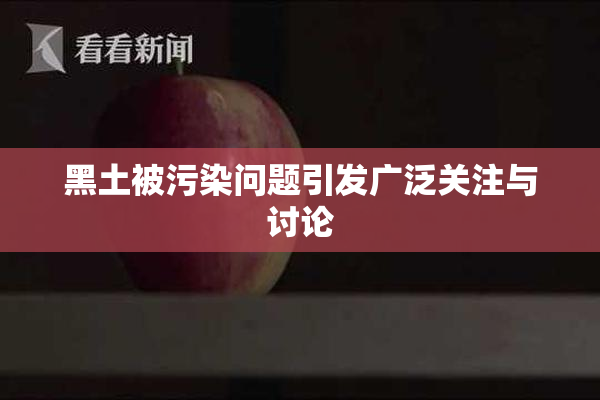 黑土被污染问题引发广泛关注与讨论