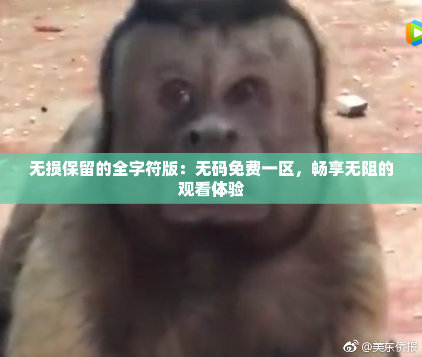 无损保留的全字符版：无码免费一区，畅享无阻的观看体验