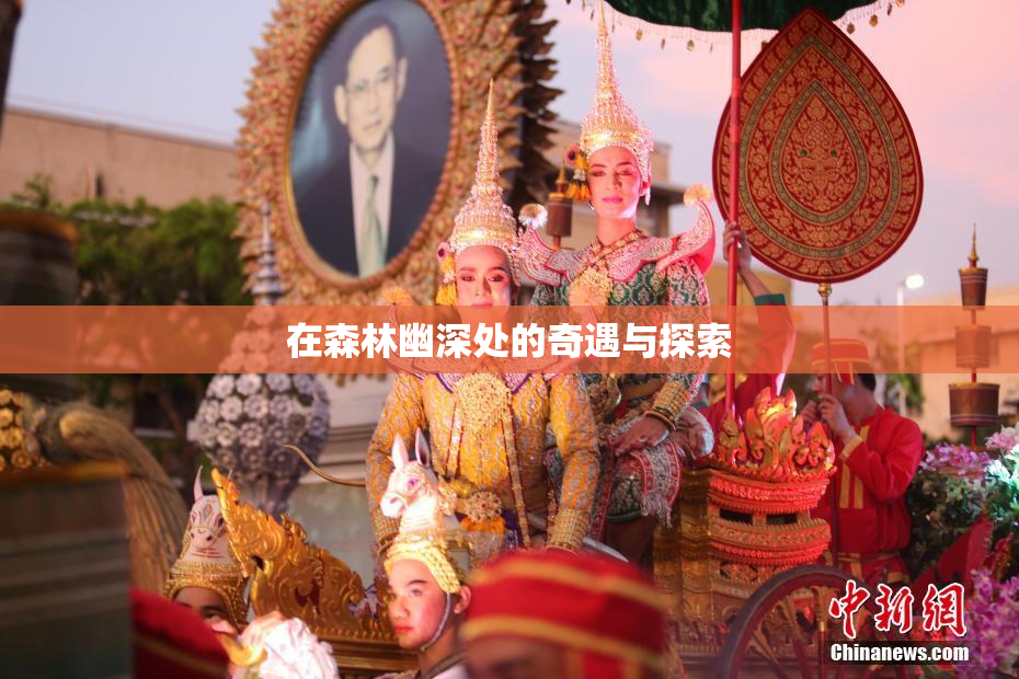 在森林幽深处的奇遇与探索