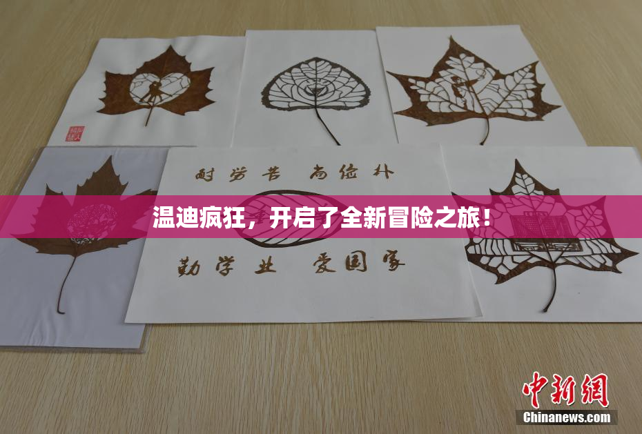 温迪疯狂，开启了全新冒险之旅！