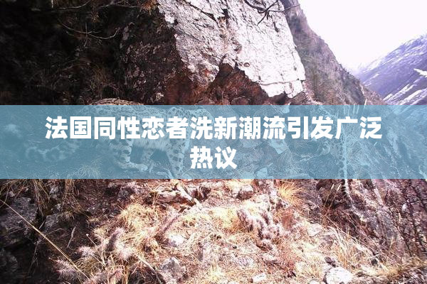法国同性恋者洗新潮流引发广泛热议