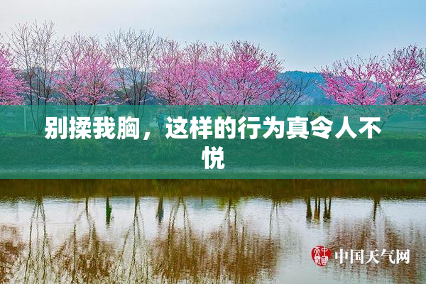 别揉我胸，这样的行为真令人不悦