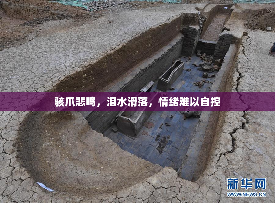 骇爪悲鸣，泪水滑落，情绪难以自控